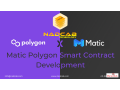 matic-smart-contract-development-small-1