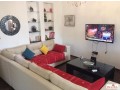 offre-de-location-s3-meuble-alain-savary-small-0